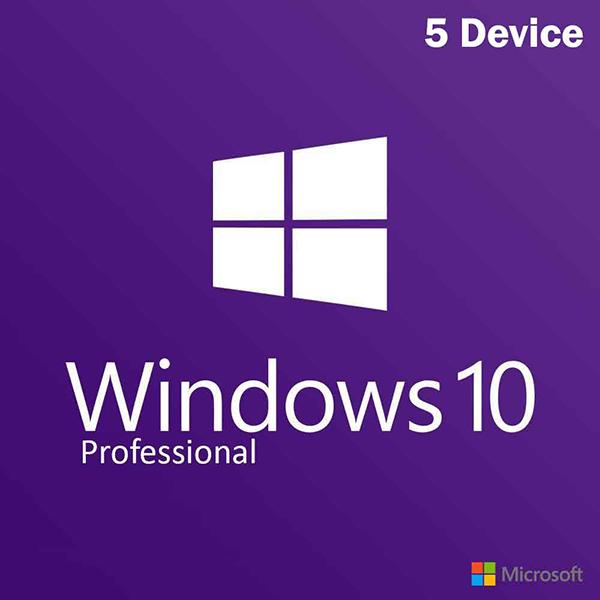 Windows 10 Professional (5 devices)