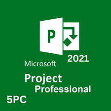 Project Professional 2021(5 PCS)