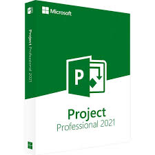 Project Professional 2021(1-2 PCS)