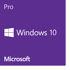 Windows 10 Professional