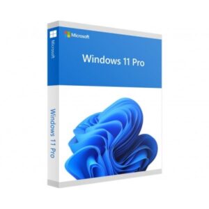 Windows 11 Pro (ESD)