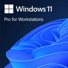 Windows 11 Pro for workstation