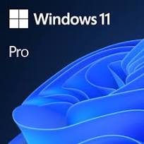 Windows 11 Professional